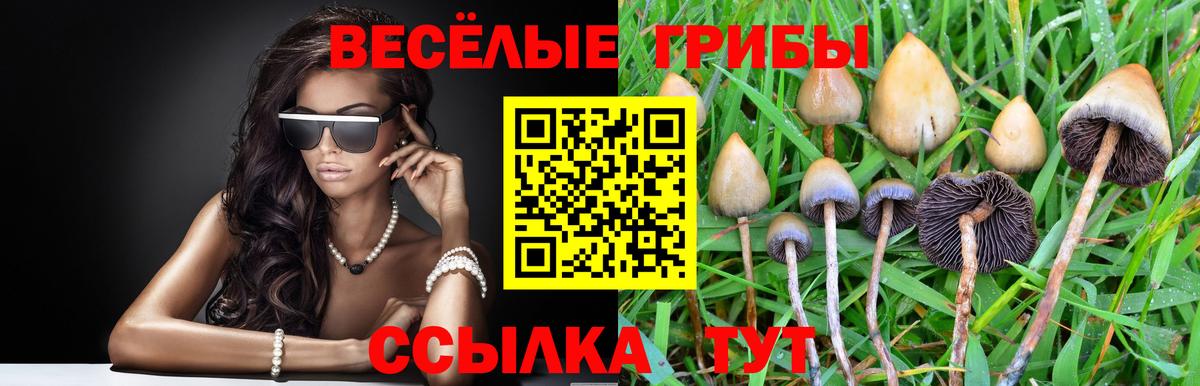 Псилоцибиновые грибы Magic Shrooms Кумертау